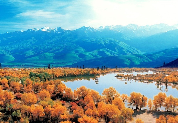 新疆之韵探秘，地域文化的独特魅力